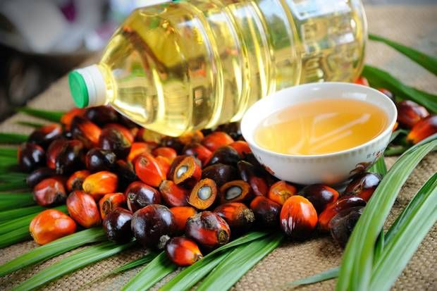 Rierden Chemical's Palm Oil Policy